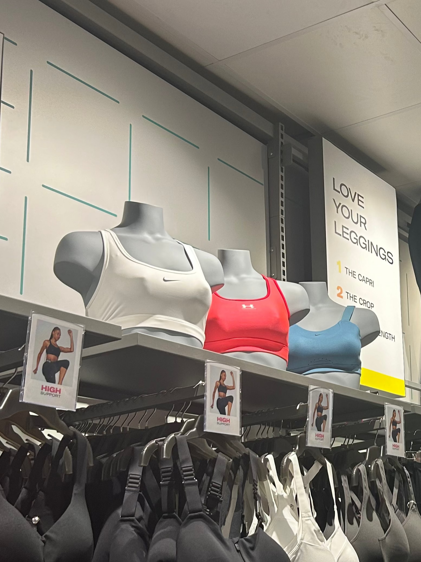 Female Bra Bust Light Grey