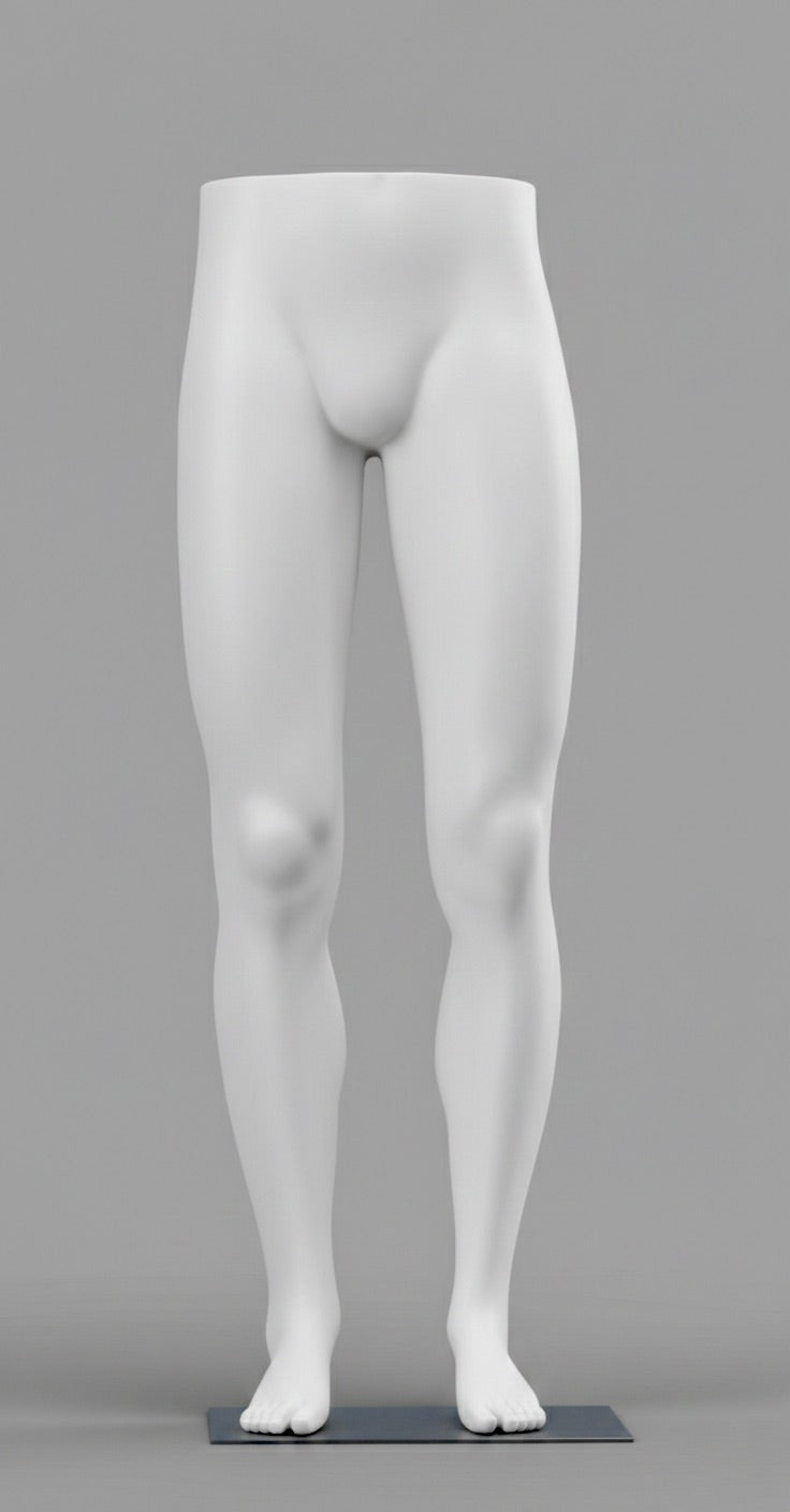 Legs / Lower Body