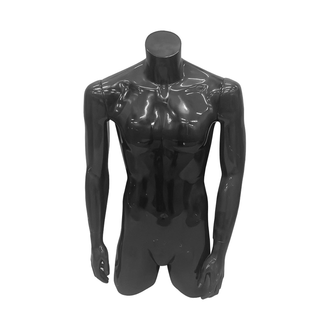 Male Torso