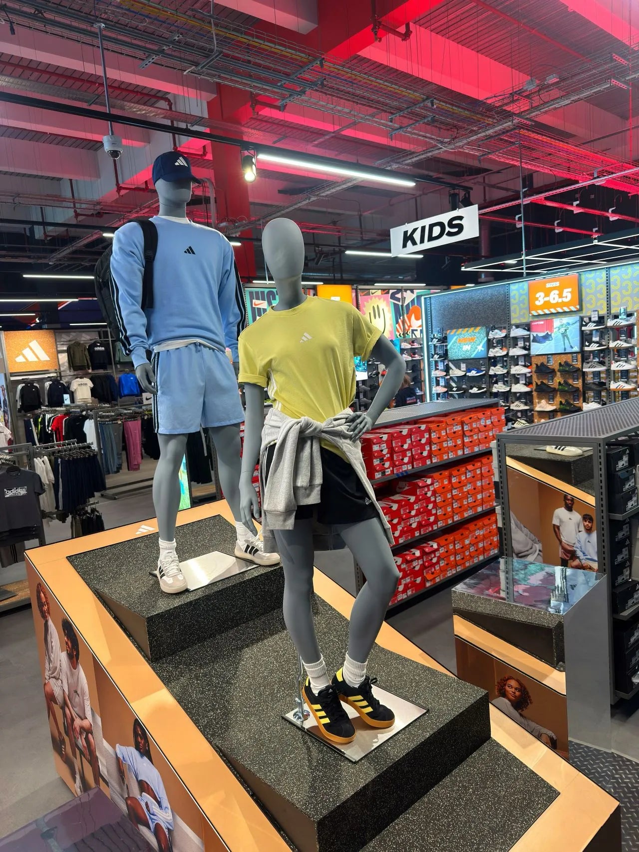 Plus Size Retail Bust Display