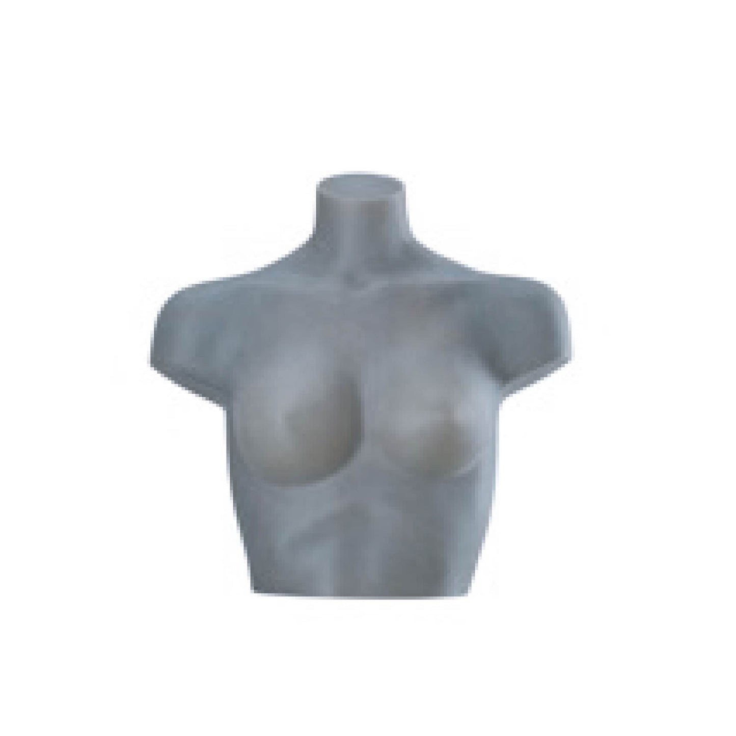 Female Bra Bust Dark Grey