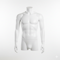 Headless Male Torso Mannequin with Arms by Side - White