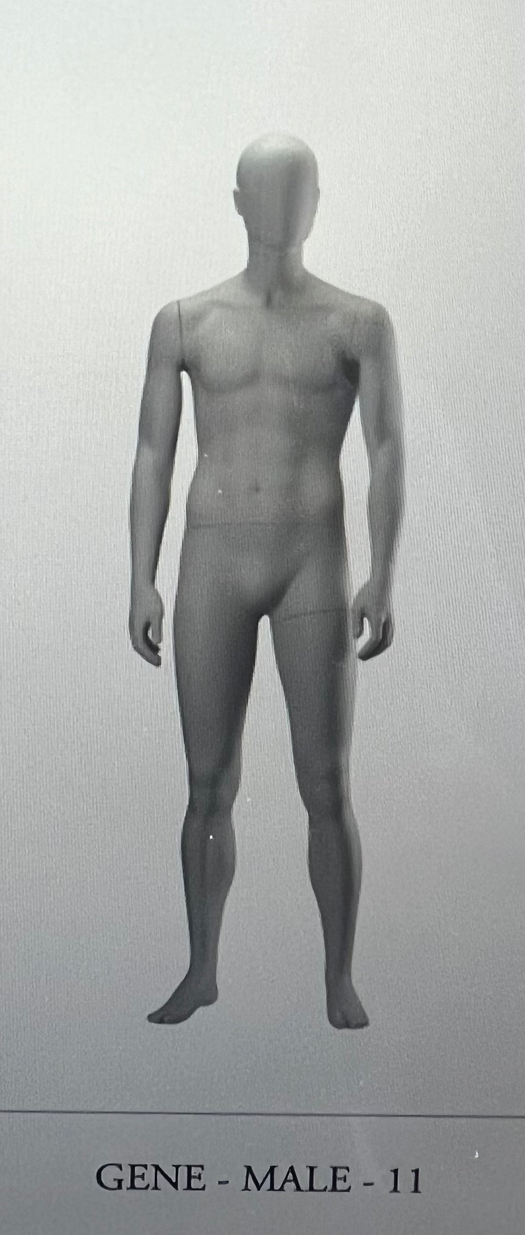GENE 11