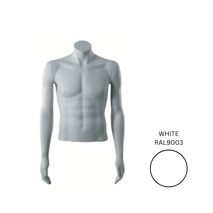 Male Headless Torso Arms By Side