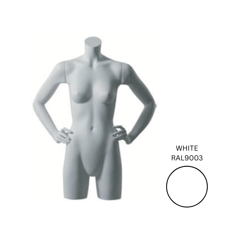 Female Torso Hands on Hips